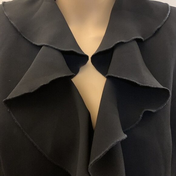Grace Dane Lewis. Size 10. Lined Ruffled Jacket. Button Up. Long Sleeve. DB2 - Picture 2 of 5